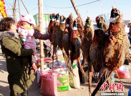 小朋友喜欢野鸡。　赵桂华 摄