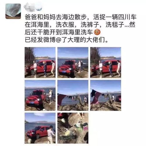 洱海边洗车的刚走烧烤的又来了!官方处罚结果公布