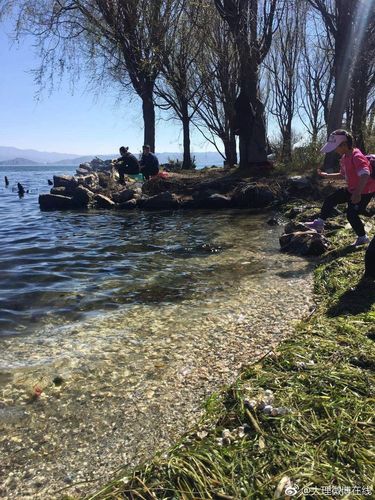 洱海边洗车的刚走烧烤的又来了!官方处罚结果公布