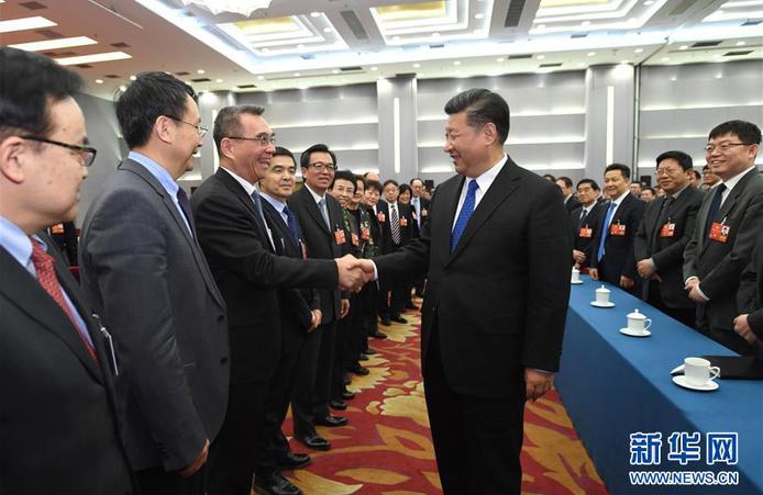 习近平看望参加政协会议的民盟致公党无党派人士侨联界委员