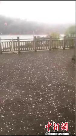 大风大雨夹杂冰雹从天而降。　供图 摄