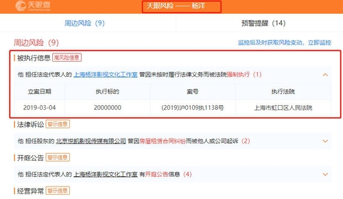 杨洋上被执行人名单需赔偿2000万 已向法院提异议