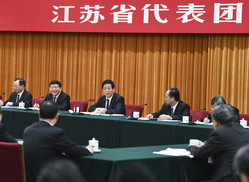 3月10日，中共中央政治局常委、全国人大常委会委员长栗战书参加十三届全国人大二次会议江苏代表团的审议。新华社记者 谢环驰 摄