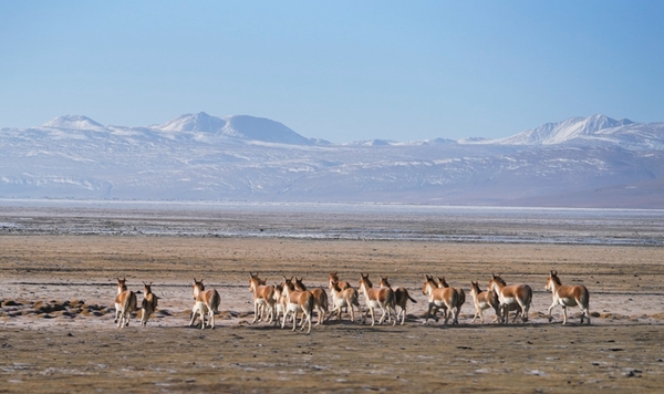 bb97d2b7297c41749446daa5862e4aea