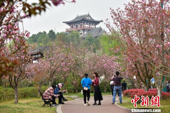 点击进入下一页