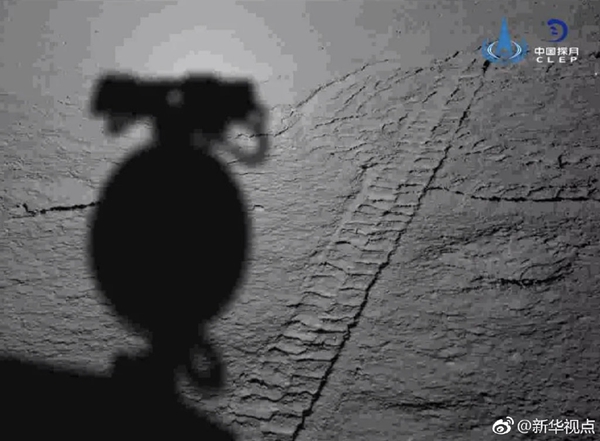 1124305745_15539499736001n