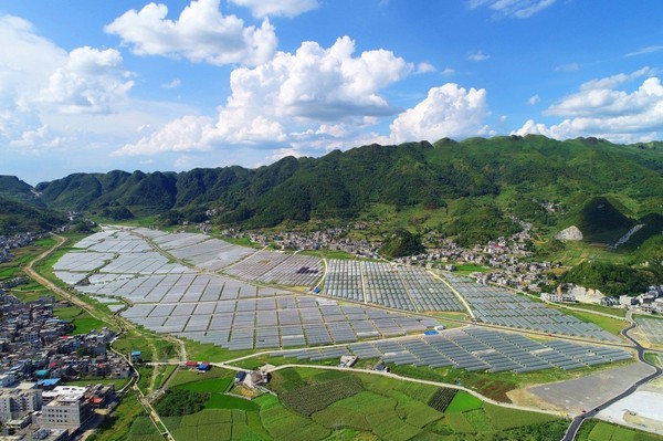 恒大援建的蔬菜产业基地