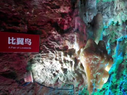 掰断400万年乳石钟的游客还破坏多处景点 或拘10天