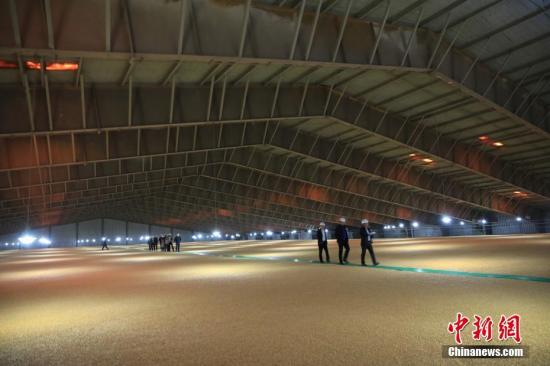 资料图：中储粮的粮仓。<a target='_blank' href='http://www.chinanews.com/'>中新社</a>记者 沈殿成 摄