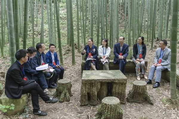 四川大竹县政协调研竹产业发展