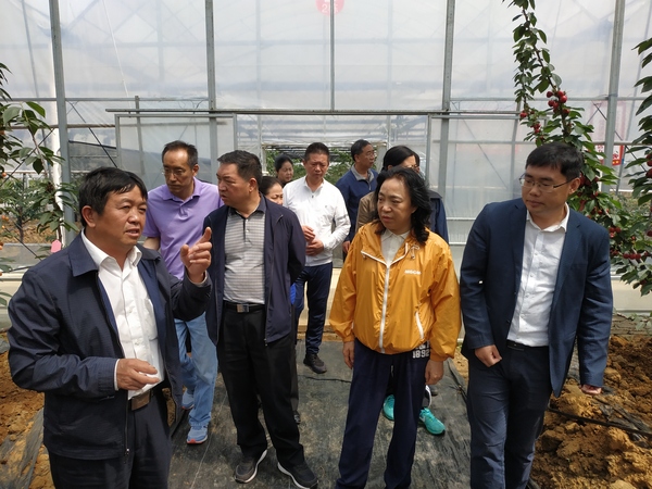 大连市政协赴贵州省调研乡村产业发展情况