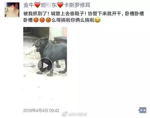 安徽一男子给狗取名城管协管 被行政拘留十日