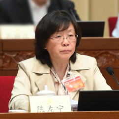 陈左宁：坚持自主创新补齐关键核心技术短板
