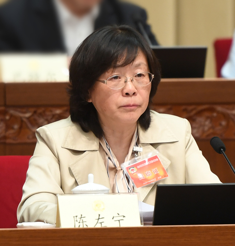 陈左宁