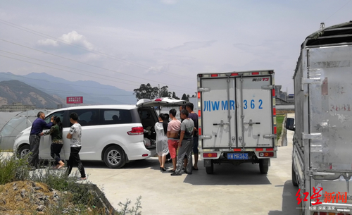 爱狗者救300只狗遭拒 狗贩:哪违法?此前损失近十万