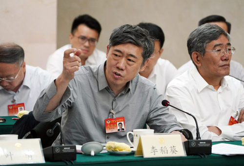 李稻葵常委在专题分组讨论会上发言。