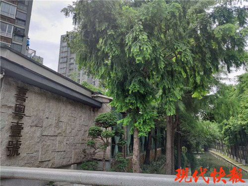 河边开餐馆,“河长”竟说:我不知道蓝线在哪里