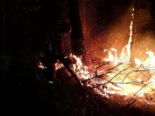 森林消防员正在大兴安岭救火。 应急管理部森林消防局供图 点击进入下一页