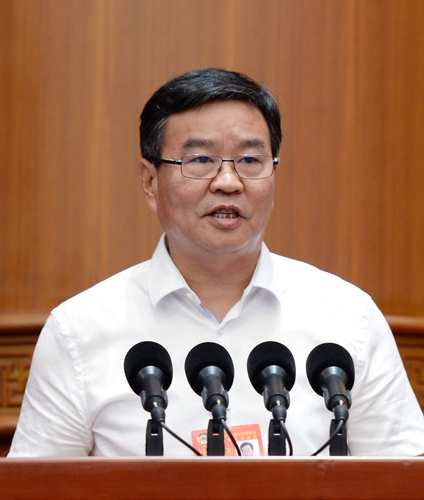 何报翔常委