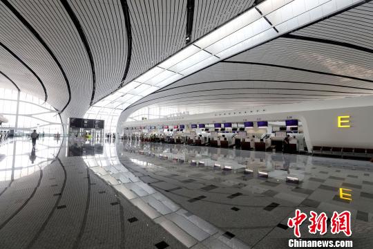 北京大兴国际机场内设置许多自助值机柜台。<a target='_blank' href='http://www.chinanews.com/'>中新社</a>记者 张宇
