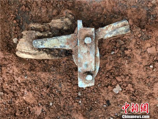 图为青铜弩机。　许超 摄