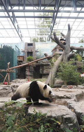 点击进入下一页