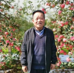 曹儒：“苹果老兵”的苹果传奇
