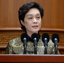 陶凯元常委：为推进我国教育治理体系和治理能力现代化履职尽责