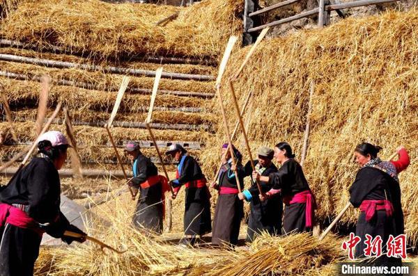 图为迭部县非物质文化。(资料图)迭部县非物质文化遗产研究协会供图