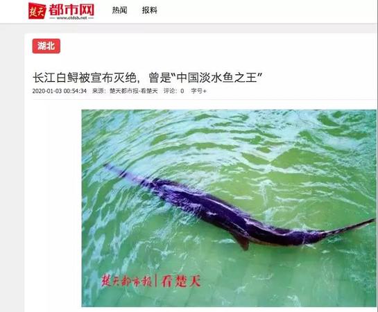 2 鱼