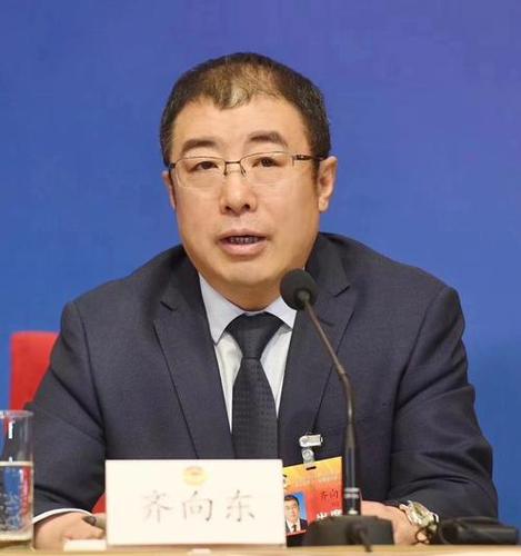 齐向东