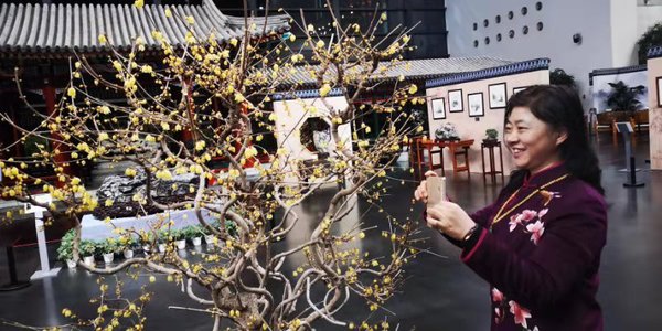 微信图片_20200117200110