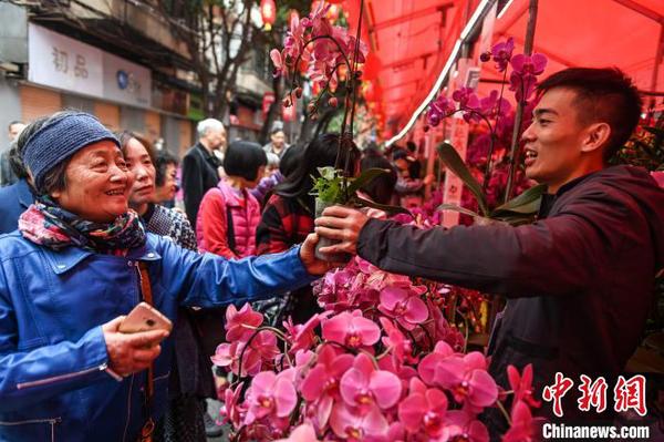西湖花市开市 陈骥旻 摄