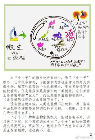 绘本《小个子与大个子》4 绘本《小个子与大个子》4