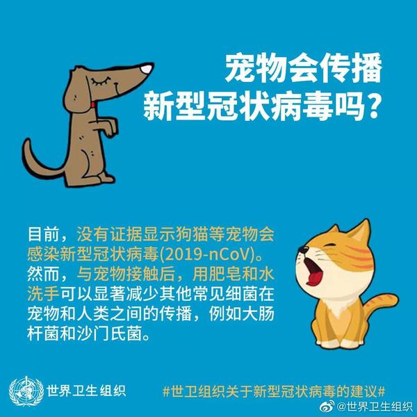 微信图片_20200204101452