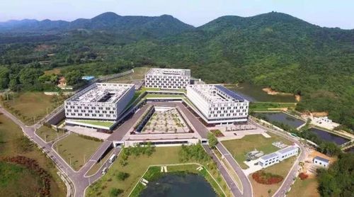 南京市公共卫生医疗中心