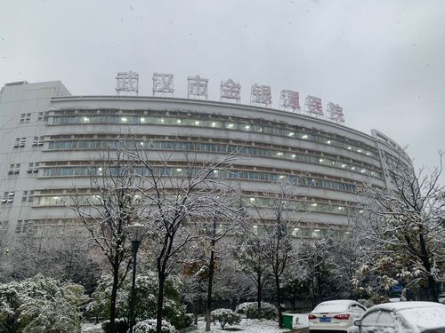 武汉第22天
