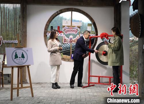 “开化龙顶·云上茶市‘县长请你来喝茶’”。开化宣传部供图