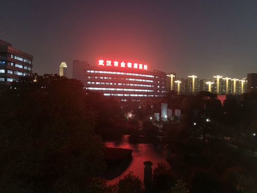 武汉第五十天2