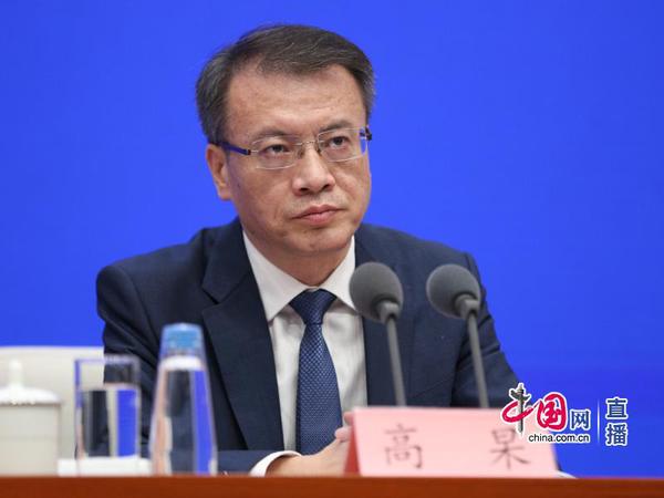 国家发展改革委副秘书长高杲