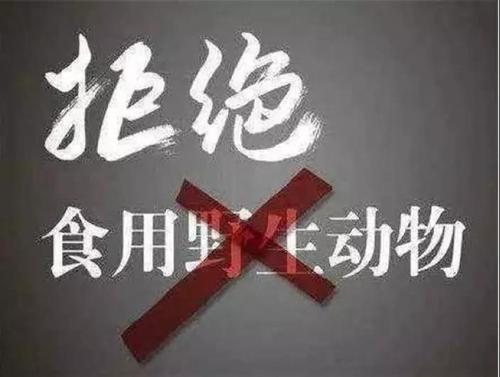 微信图片_20200323132838