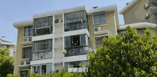 动图1