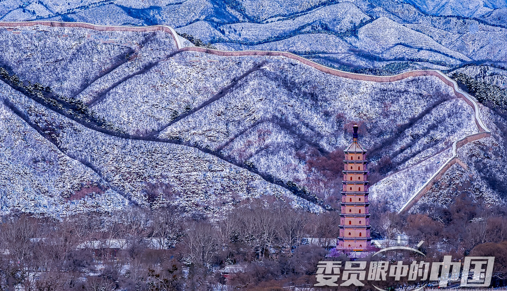 山舞银蛇