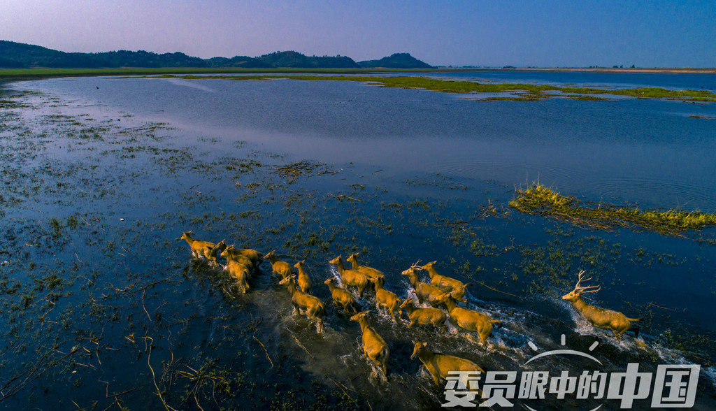 驰骋天地间