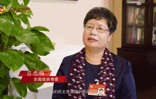 什么是最中国的民主？
