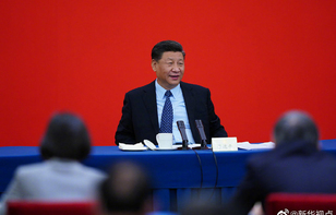 习近平看望政协委员