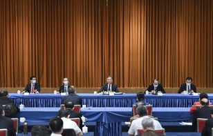 汪洋与民革、台盟、台联界别政协委员共商国是