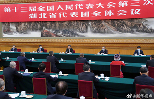 习近平参加湖北代表团审议