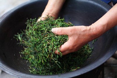 父母的手工茶