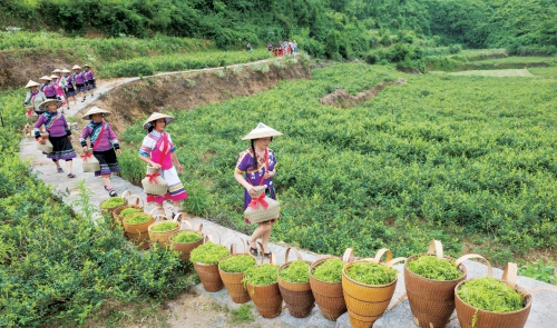 文明乡风浸润美丽乡村